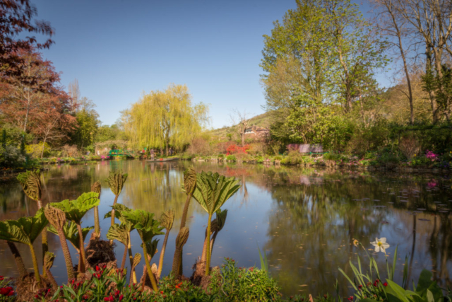 Photo of a lake at Giverny - Monet's house